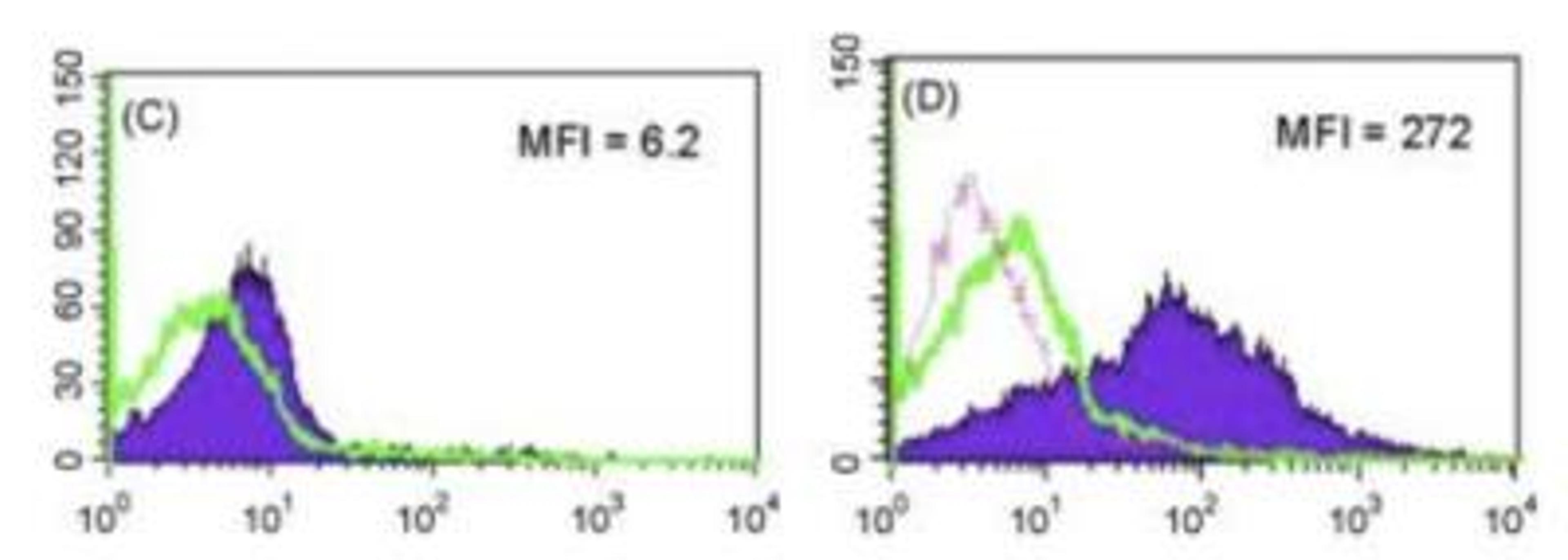 Flow Cytometry: Langerin/CD207 Antibody (929F3.01) [DDX0362P-100] - Cells derived from culture of porcine skin stained  permeabilized (D) or not (C) with 929F3