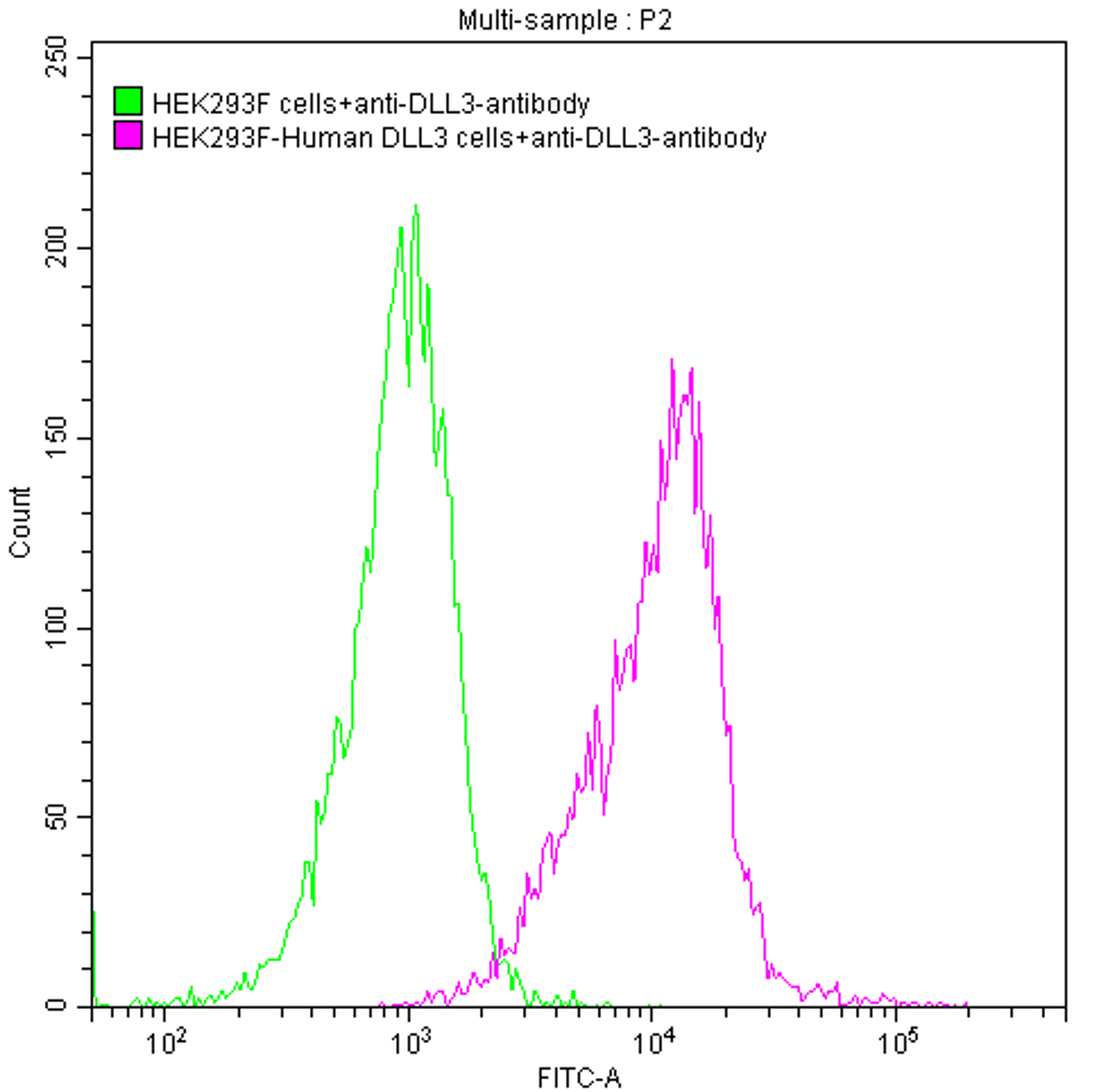 Untransfected HEK293 cells (green line) and transfected Human DLL3 HEK293 stable cells (red line) were stained with anti-DLL3 antibody (rovalpituzumab-like) (2µl/1*10<sup>6</sup> cells), washed and then followed by FITC-conjugated anti-Human IgG1 Fc antibody and analyzed with flow cytometry.