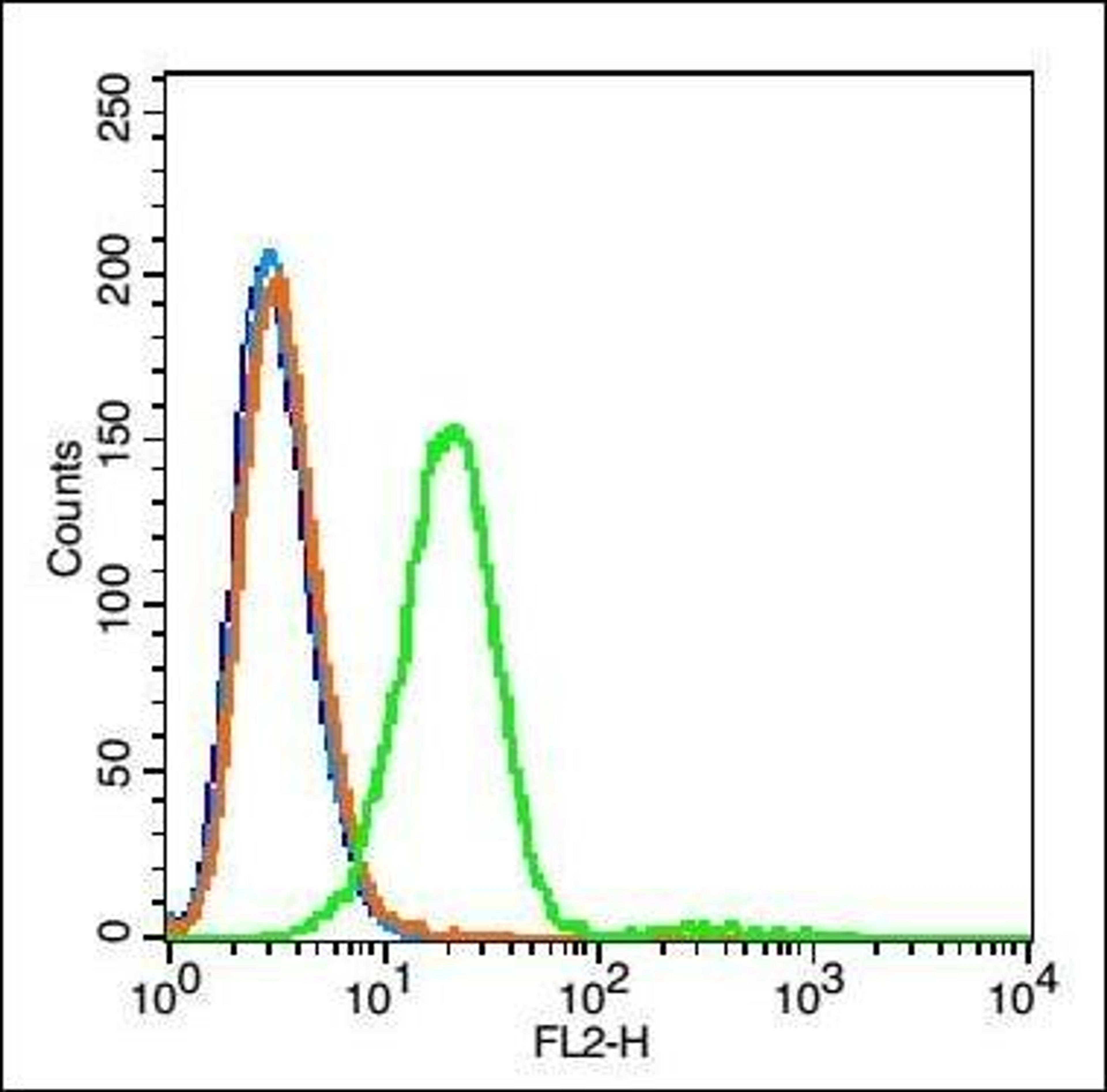 Flow cytometric analysis of Rsc96 cell using SLC27A4 antibody.