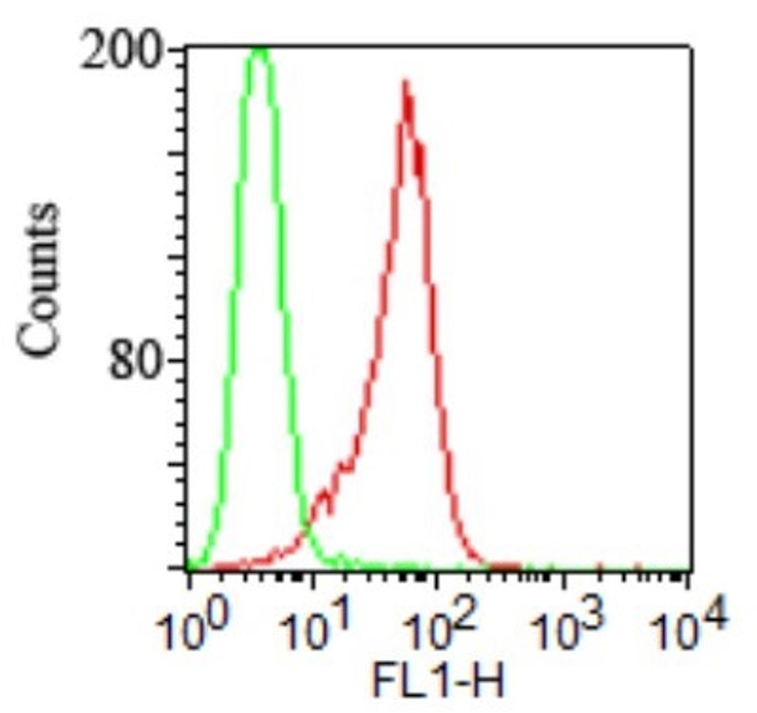 Flow (Cell Surface): TLR2 Antibody (TL2.1) [Azide Free] [NB100-56726] - Analysis using the FITC conjugate of NB100-56726. Surface staining of stable HEK293/hTLR2 cells (IML-202, red) and vector control cells (IML-200, green) using TLR2 antibody at 1 ug/10^6 cells.