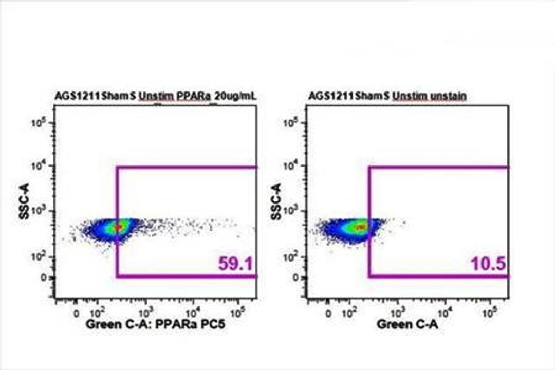 Flow cytometric analysis of arctic ground squirrel splenocytes (Dilution at 1:50) using PPAR alpha antibody