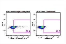 Flow cytometric analysis of arctic ground squirrel splenocytes (Dilution at 1:50) using PPAR alpha antibody