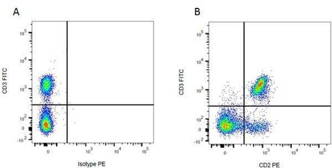 Figure A. Mouse anti Rat CD3. Figure B. Mouse anti Rat CD3 and Mouse anti Rat CD2. 