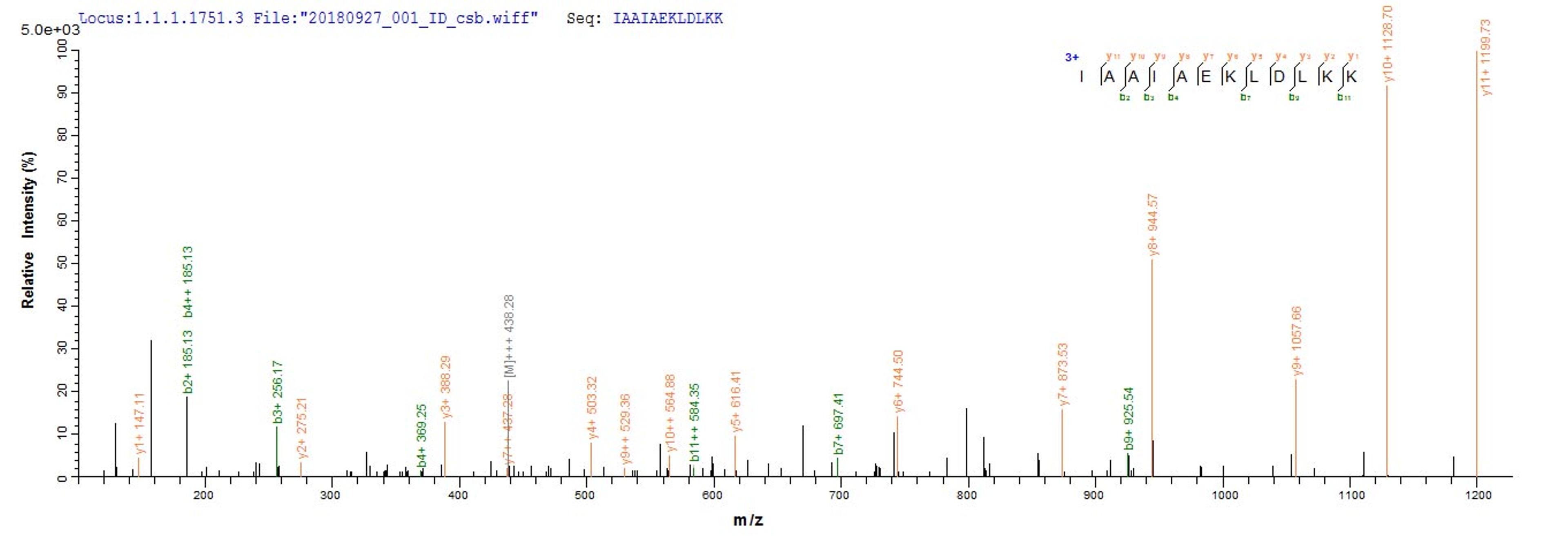 Based on the SEQUEST from database of E.coli host and target protein, the LC-MS/MS Analysis result of CSB-EP622514HU could indicate that this peptide derived from E.coli-expressed Homo sapiens (Human) POU4F2.