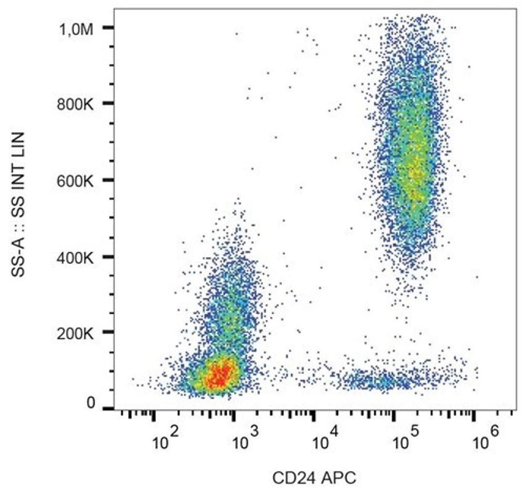 Flow cytometric analysis of human peripheral blood cells using CD24 antibody (APC)