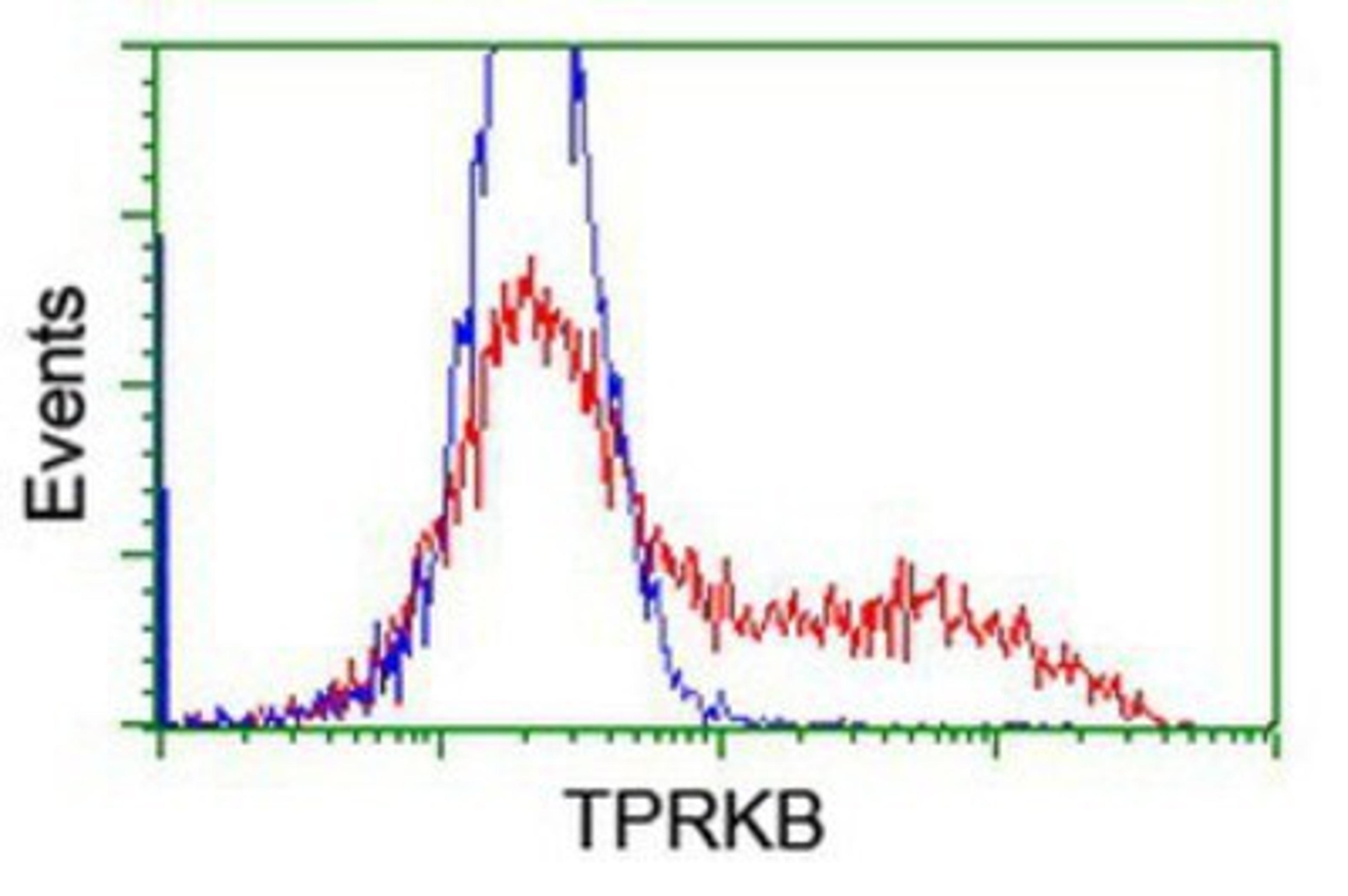 Flow Cytometry: TPRKB Antibody (3H3) [NBP2-03885] - HEK293T cells transfected with either overexpression plasmid (Red) or empty vector control plasmid (Blue) were immunostained by anti-TPRKB antibody, and then analyzed by flow cytometry.