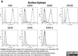 Mouse anti Canine CD45 antibody used to demonstrate the phenotype of canine mesenchymal stem cells