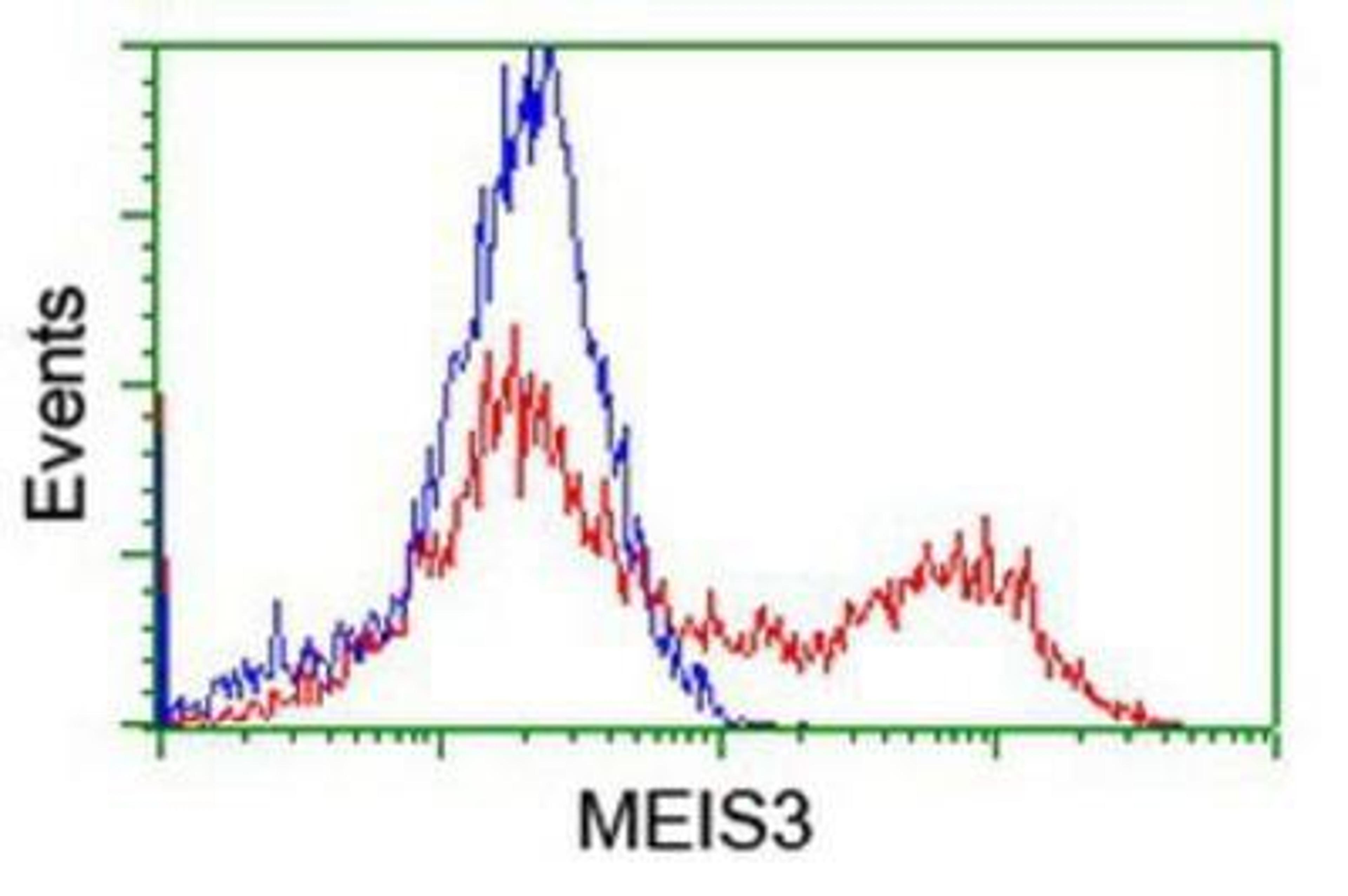 Flow Cytometry: Meis homeobox 3 Antibody (3E12) [NBP2-03933] - HEK293T cells transfected with either overexpression plasmid (Red) or empty vector control plasmid (Blue) were immunostained by anti-Meis homeobox 3 antibody, and then analyzed by flow cytometry.