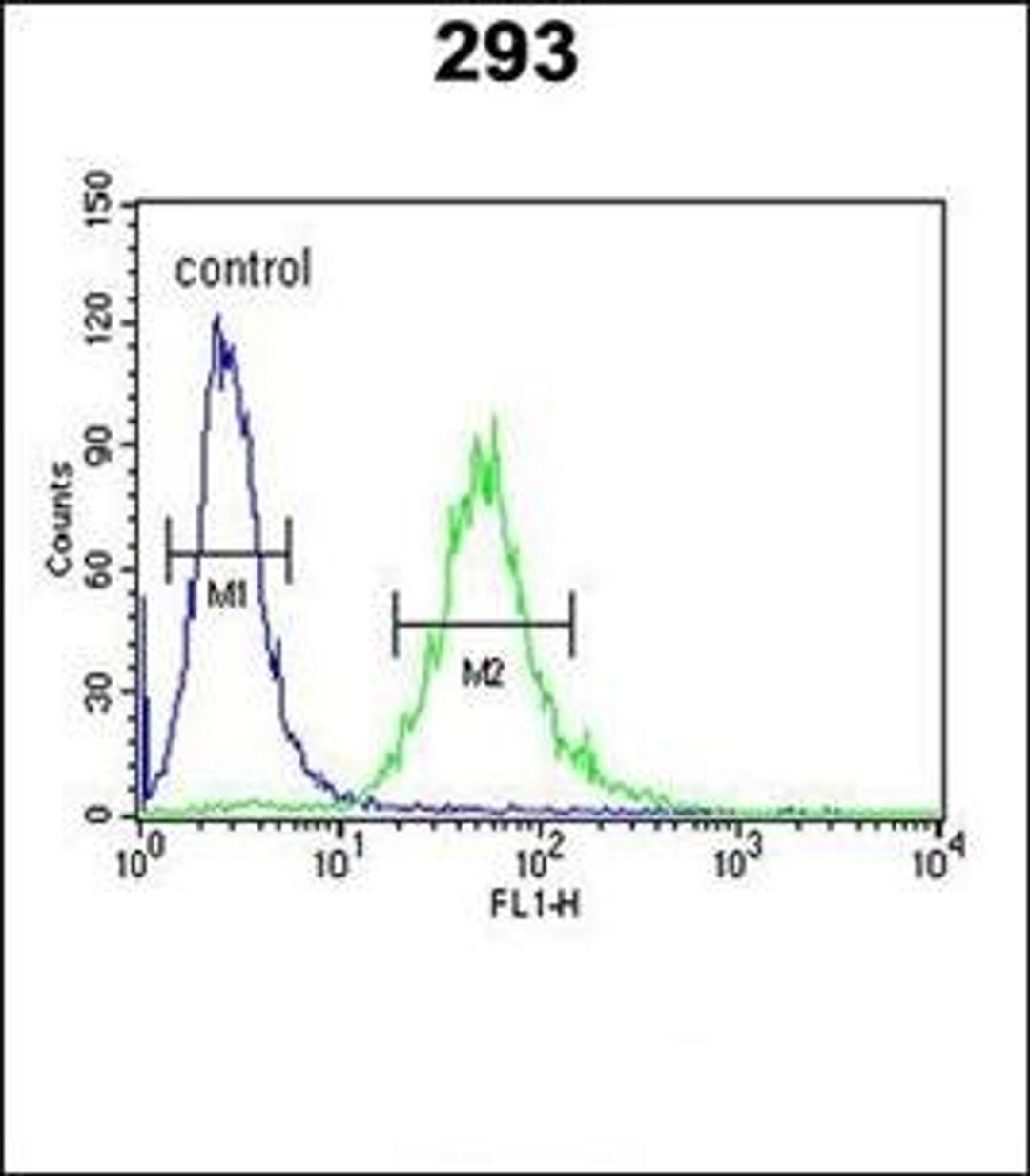 Flow cytometric analysis of 293 cells using CEA antibody (primary antibody dilution at: 1:10-50)