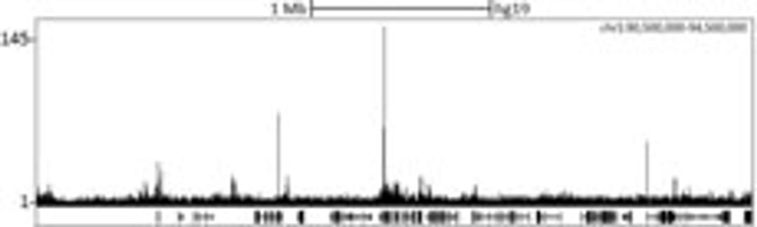 Localization of CBX8 Binding Sites by ChIP-sequencing.