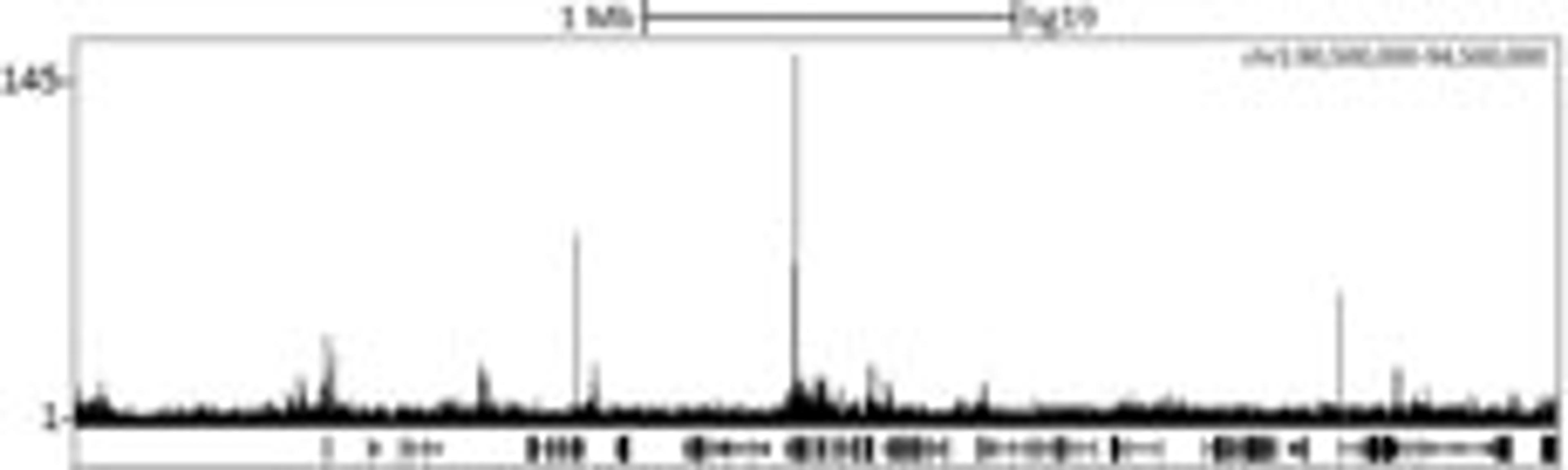 Localization of CBX8 Binding Sites by ChIP-sequencing.