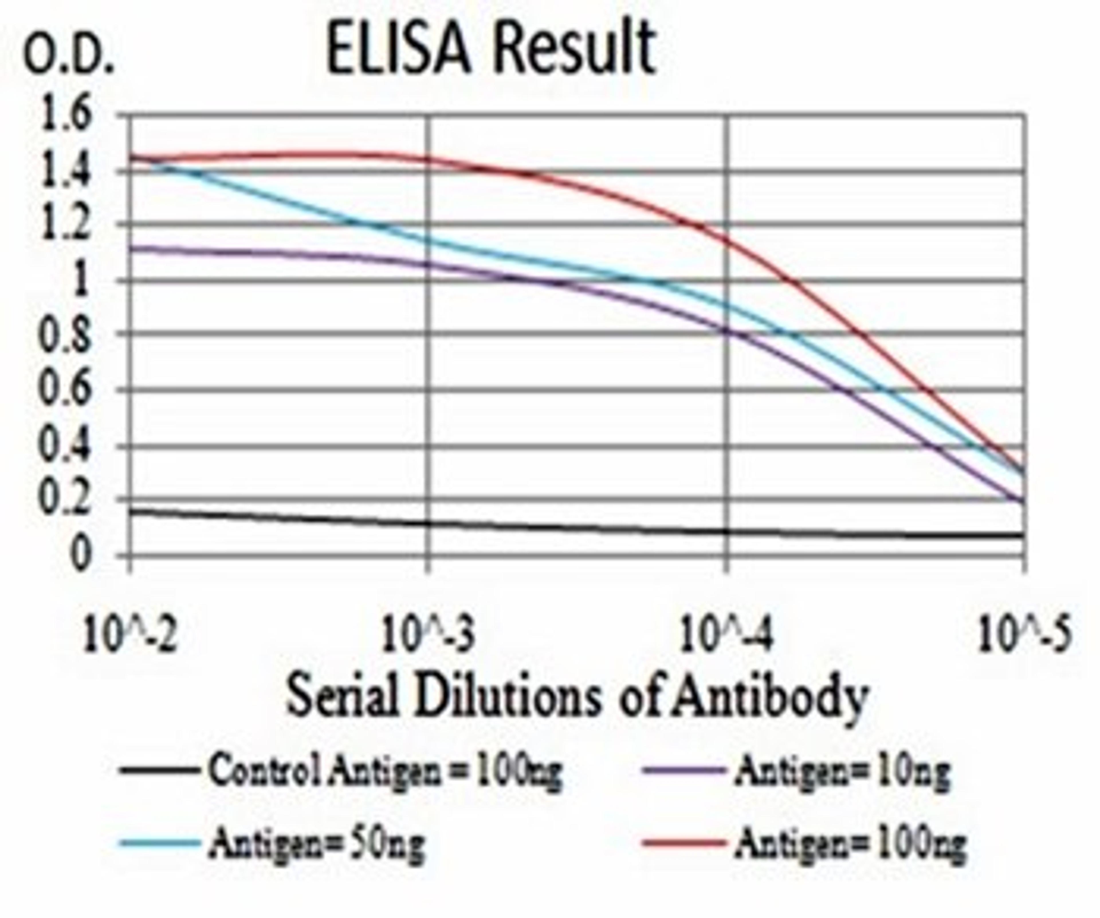 ELISA Black line: Control Antigen (100 ng); Purple line: Antigen(10ng); Blue line: Antigen (50 ng); Red line: Antigen (100 ng)