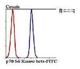 Flow cytometric analysis of HepG2 cells using p70 S6 Kinase beta antibody