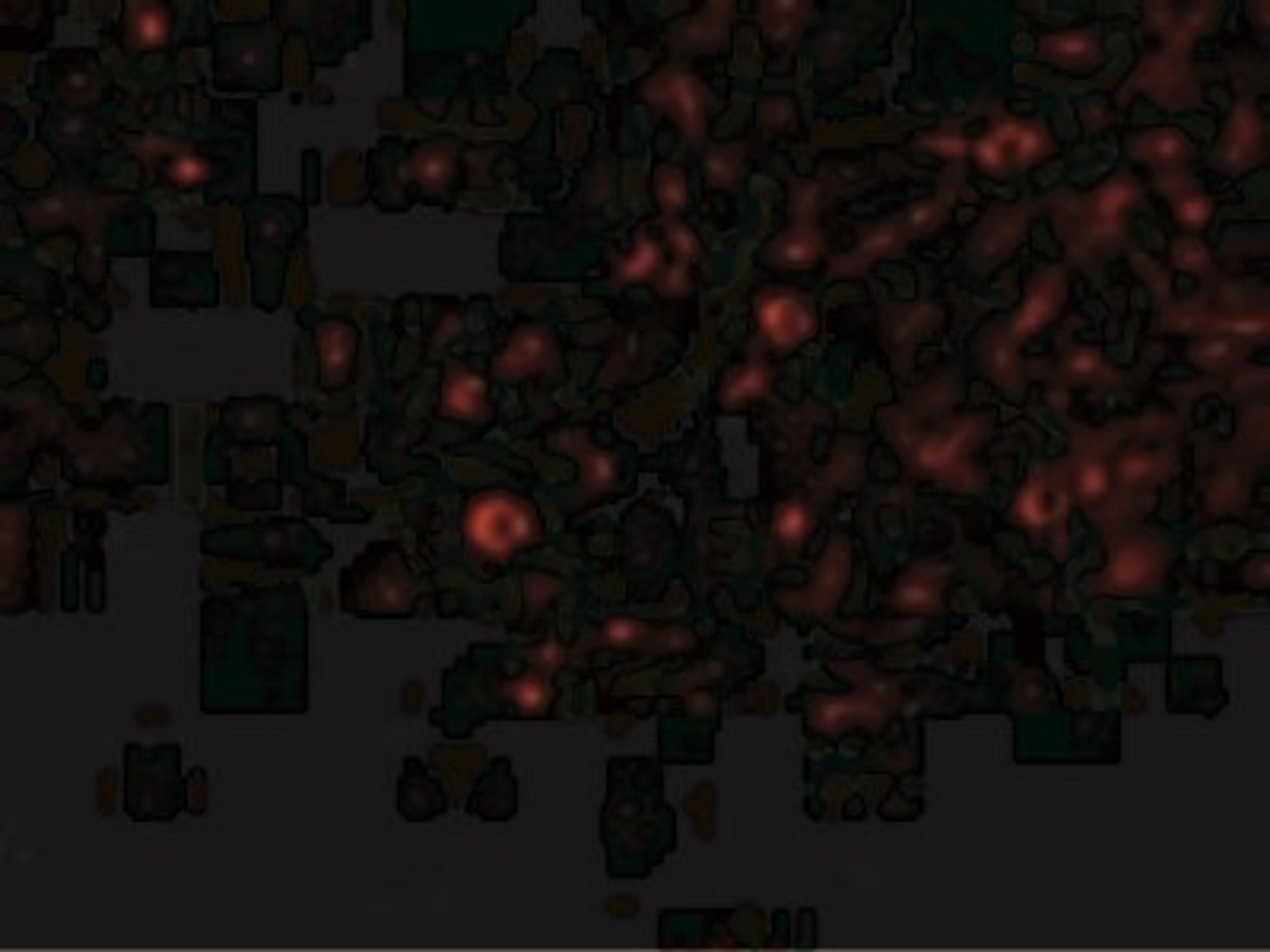 Immunocytochemistry/Immunofluorescence: IL-32 Antibody [NBP1-76684] - Immunofluorescence of IL-32 in Human Spleen cells with IL-32 antibody at 20 ug/mL.