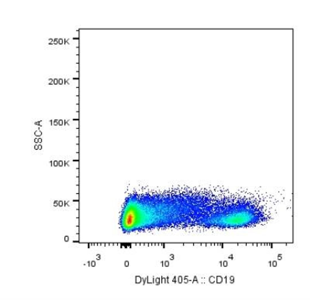 Flow Cytometry: CD19 Antibody (CB19) [NBP2-25196] - Analysis using the DyLight 405 conjugate of NBP2-25196. Staining of CD19 in human PBMCs using anti-CD19 antibody. Image from verified customer review.