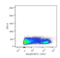 Flow Cytometry: CD19 Antibody (CB19) [NBP2-25196] - Analysis using the DyLight 405 conjugate of NBP2-25196. Staining of CD19 in human PBMCs using anti-CD19 antibody. Image from verified customer review.