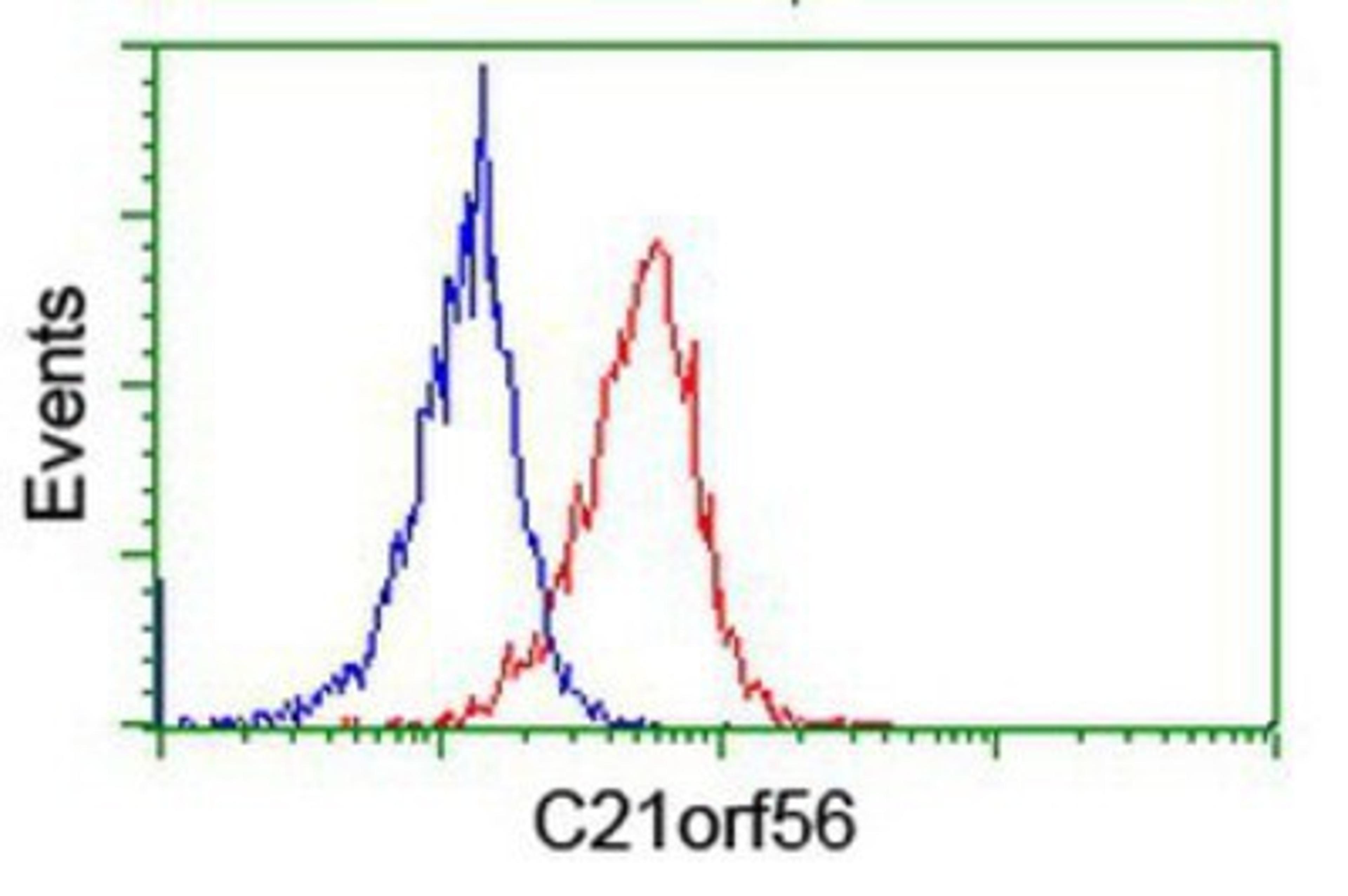 Flow Cytometry: C21orf56 Antibody (1H6) [NBP2-01999] - Analysis of Jurkat cells, using anti-C21orf56 antibody, (Red), compared to a nonspecific negative control antibody (Blue).