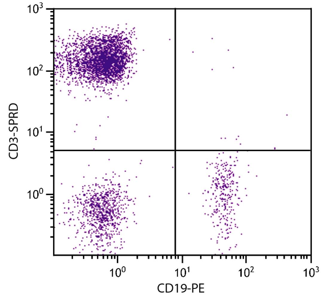 Human peripheral blood lymphocytes were stained with Mouse Anti-Human CD3-SPRD (Cat. No. 99-417) and Mouse Anti-Human CD19-PE .