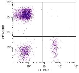 Human peripheral blood lymphocytes were stained with Mouse Anti-Human CD3-SPRD (Cat. No. 99-417) and Mouse Anti-Human CD19-PE .