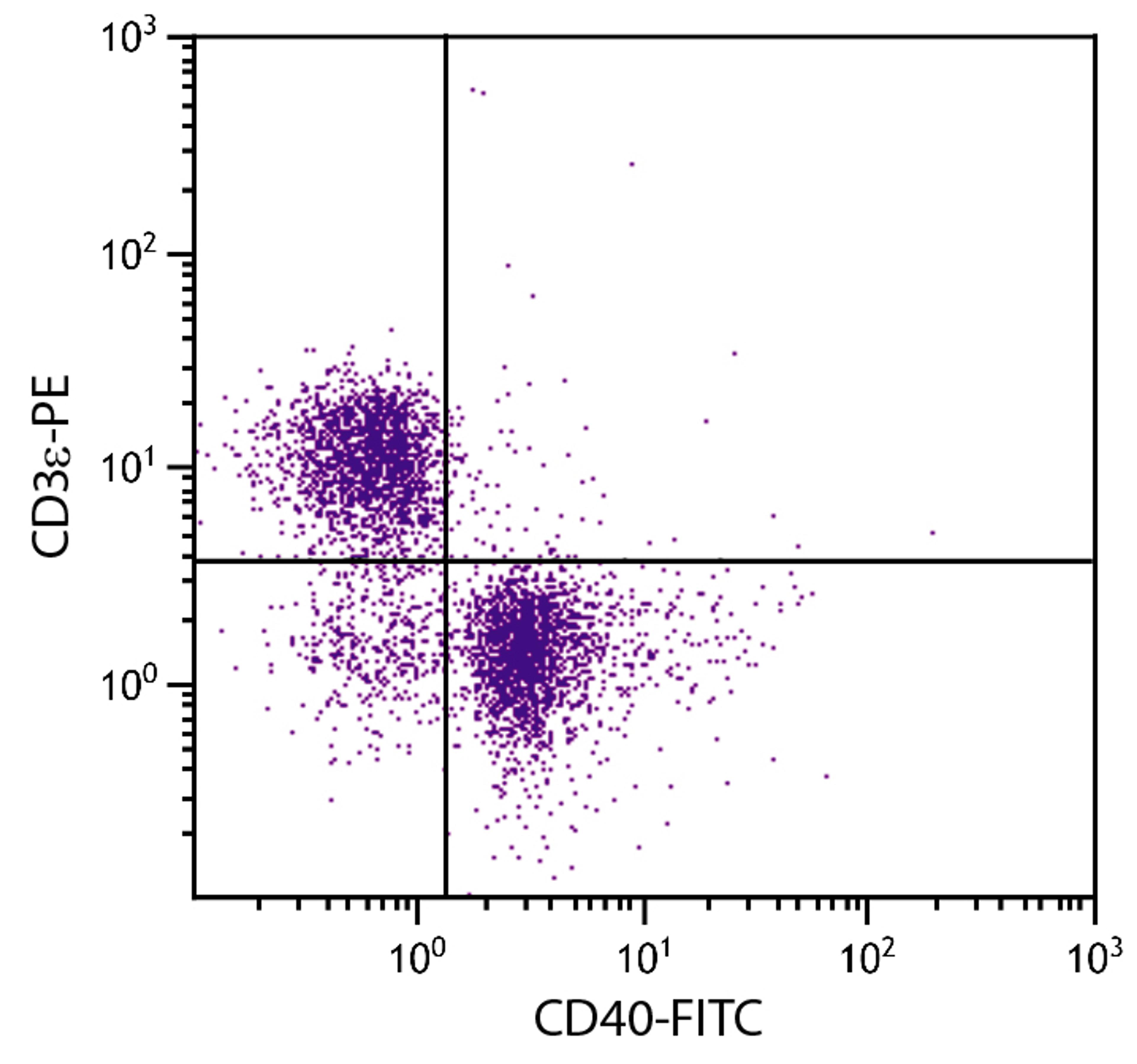 BALB/c mouse splenocytes were stained with Rat Anti-Mouse CD40-FITC (Cat. No. 98-763) and Rat Anti-Mouse CD3?-PE .