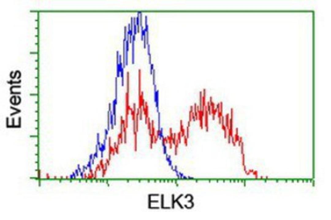 Flow Cytometry: ELK3 Antibody (1H3) [NBP2-01264] - HEK293T cells transfected with either overexpression plasmid (Red) or empty vector control plasmid (Blue) were immunostained by anti-ELK3 antibody, and then analyzed by flow cytometry.