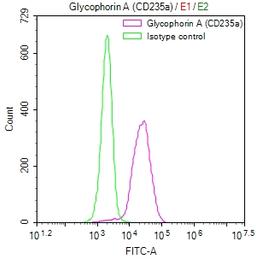 Overlay Peak curve showing K562 cells stained with CSB-RA257220A0HU (red line) at 1:50. The cells were fixed in 4% formaldehyde and permeated by 0.2% TritonX-100. Then 10% normal goat serum to block non-specific protein-protein interactions followed by the antibody (1µg/1*10<sup>6</sup>cells) for 45min at 4℃. The secondary antibody used was FITC-conjugated Goat Anti-rabbit IgG(H+L) at 1:200 dilution for 35min at 4℃.Control antibody (green line) was rabbit IgG (1µg/1*10<sup>6</sup>cells) used under the same conditions. Acquisition of >10,000 events was performed.