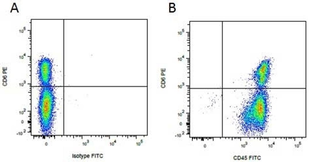 Figure A. Purified mouse anti porcine CD6. Figure B. Purified mouse anti porcine CD6. 