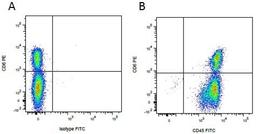 Figure A. Purified mouse anti porcine CD6. Figure B. Purified mouse anti porcine CD6. 