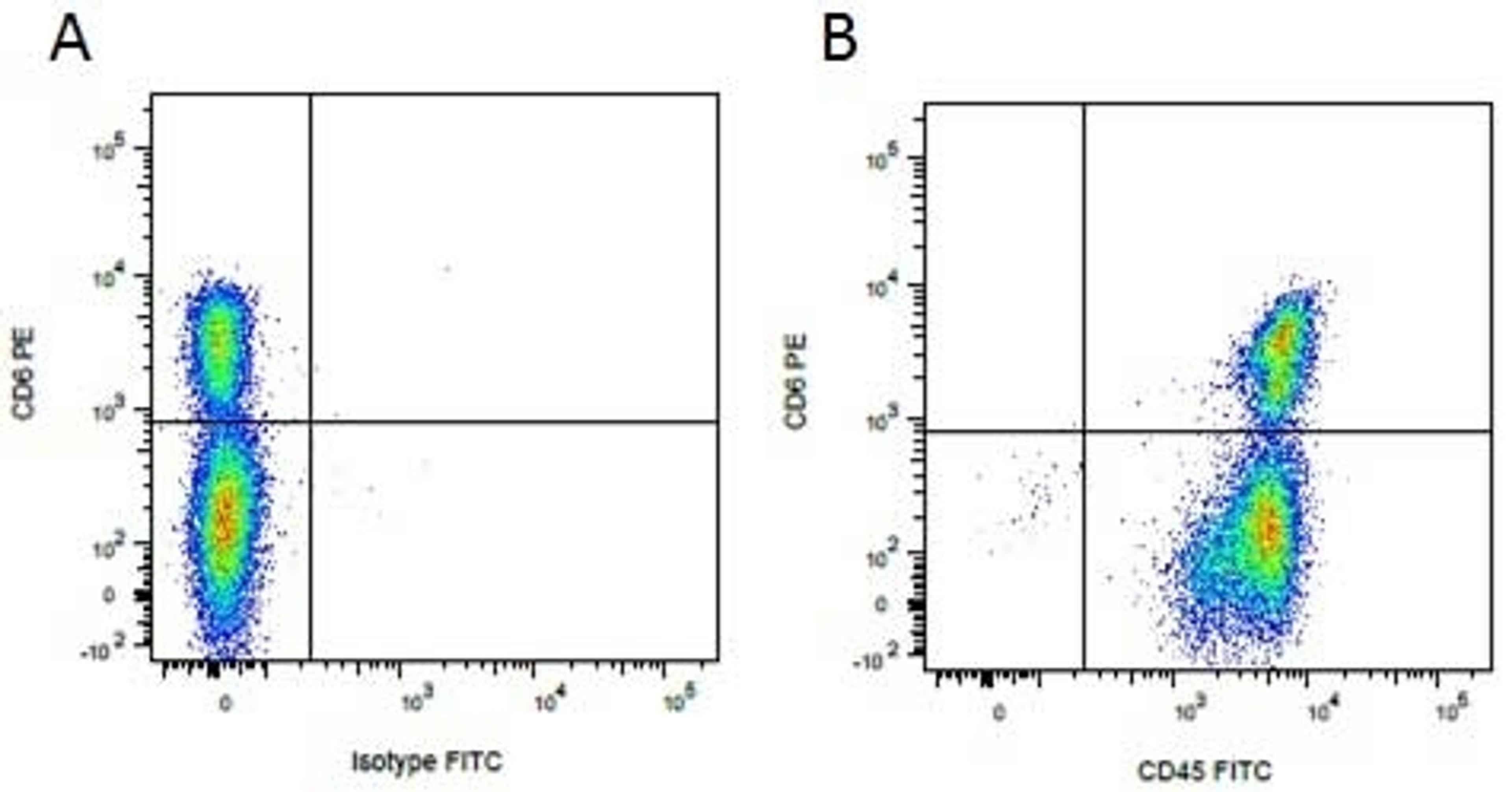 Figure A. Purified mouse anti porcine CD6. Figure B. Purified mouse anti porcine CD6.