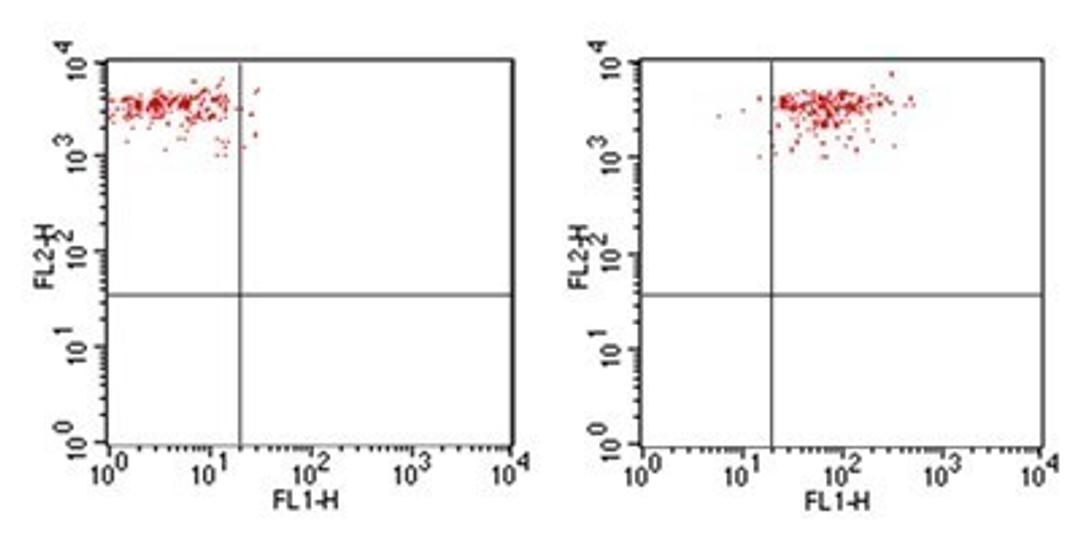 Flow Cytometry: TLR4 Antibody (76B357.1) [Azide Free] [NBP2-27149] - Analysis using the FITC conjugate of NBP2-27149. TLR4 expression on monocytes from human peripheral blood: PBMC were stained, in a 2 color flow test, with CD14 PE and 1 ug of either isotype control (Left, ) or TLR4-FITC (Right, this antibody. PPI negative, CD14+ cells were gated for analysis.