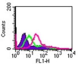 Flow Cytometry: Interleukin-24 Antibody [NB100-56407] - Cell surface flow cytometry analysis of IL-24 in Jurkat cells using IL-24 antibody at 5 ug/10^6 cells. The shaded histogram represents cells only, green represents isotype control antibody, and red represents IL-24 antibody.