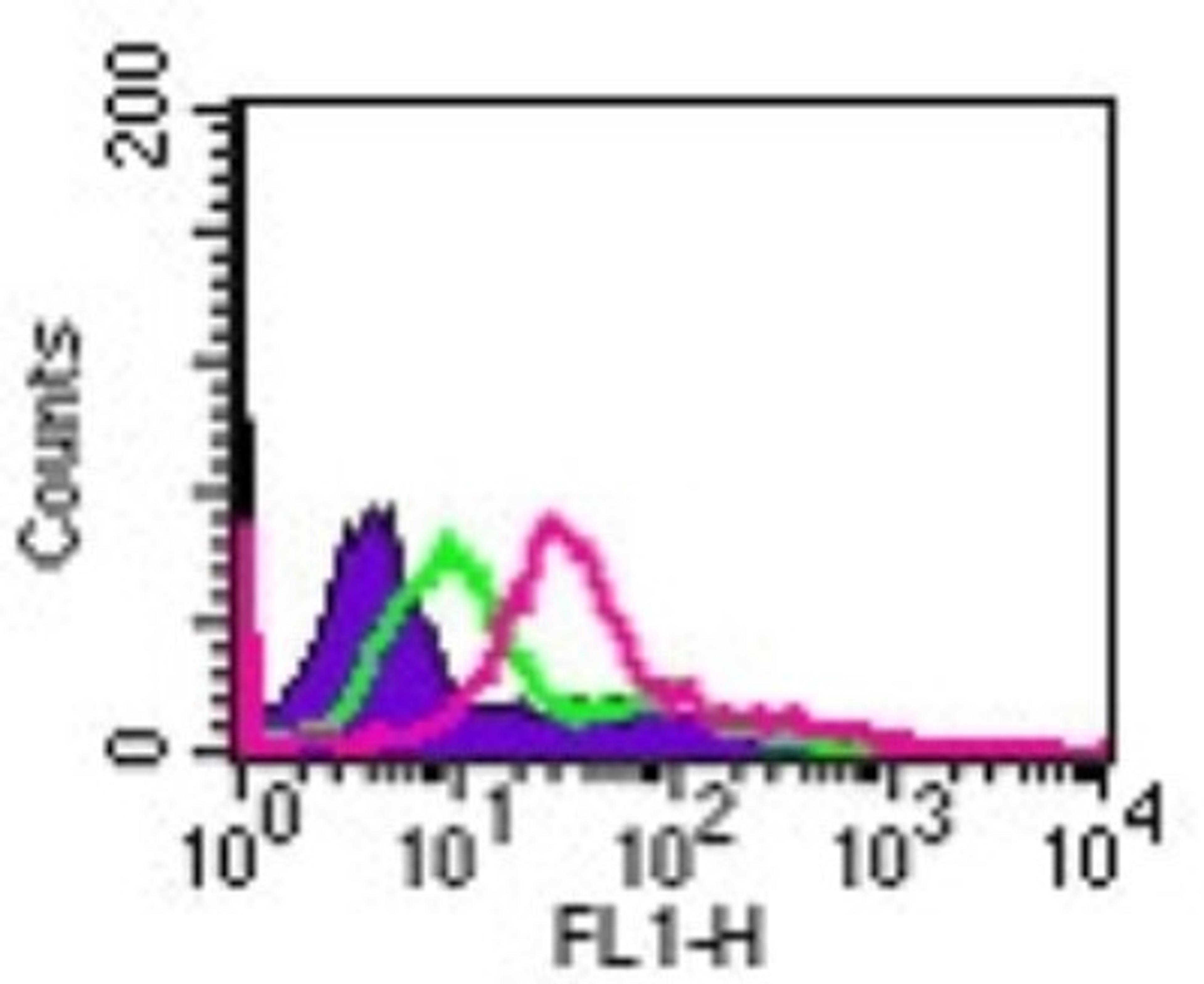 Flow Cytometry: Interleukin-24 Antibody [NB100-56407] - Cell surface flow cytometry analysis of IL-24 in Jurkat cells using IL-24 antibody at 5 ug/10^6 cells. The shaded histogram represents cells only, green represents isotype control antibody, and red represents IL-24 antibody.