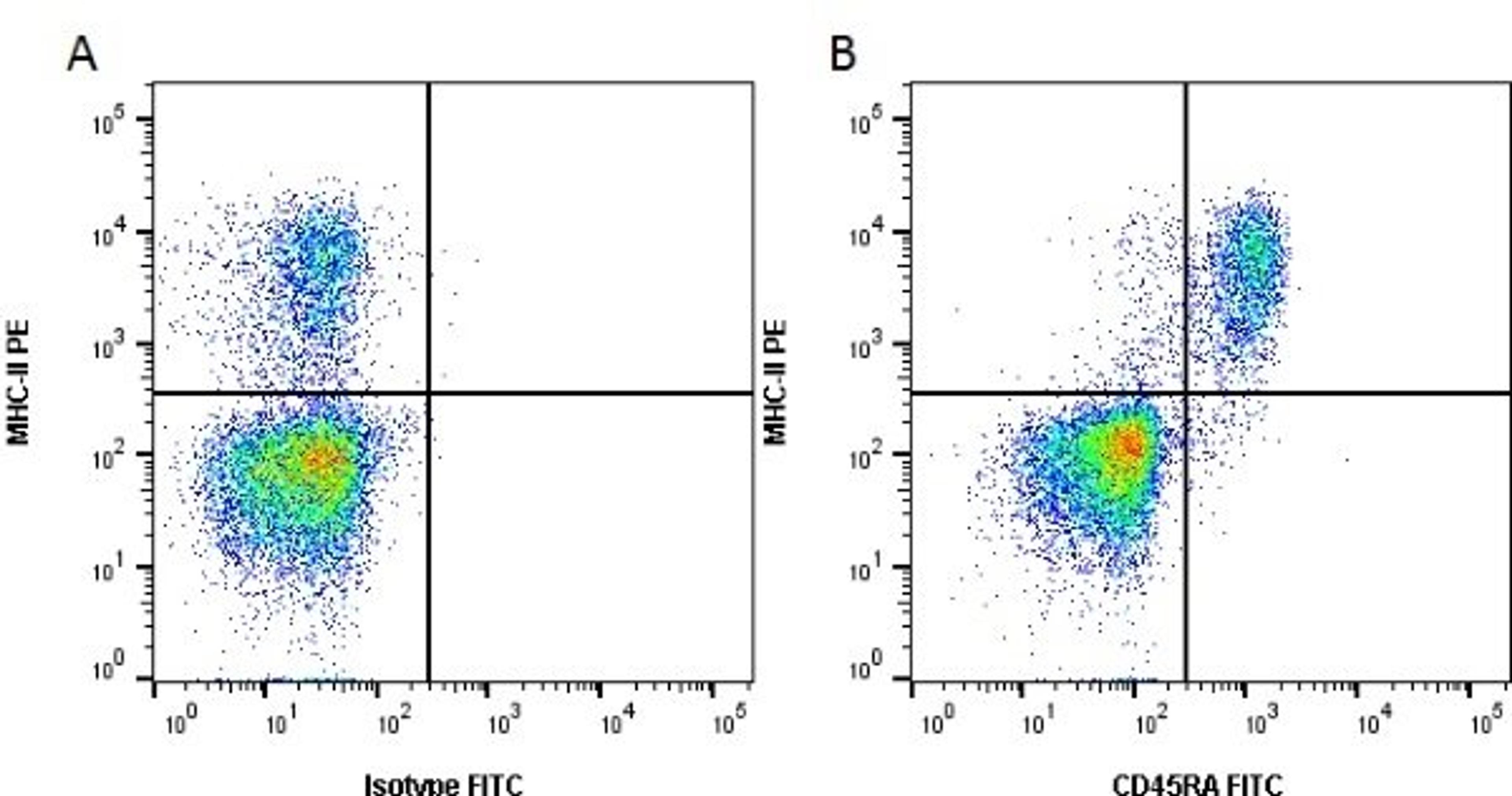 Figure A. Mouse anti Rat MHC-II. Figure B. Mouse anti Rat MHC-II and Mouse anti Rat CD45RA.