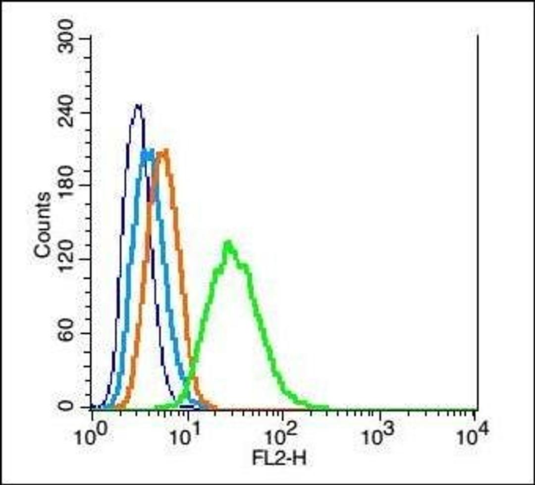 Flow cytometric analysis of Rsc96 cell using LHX2 antibody.