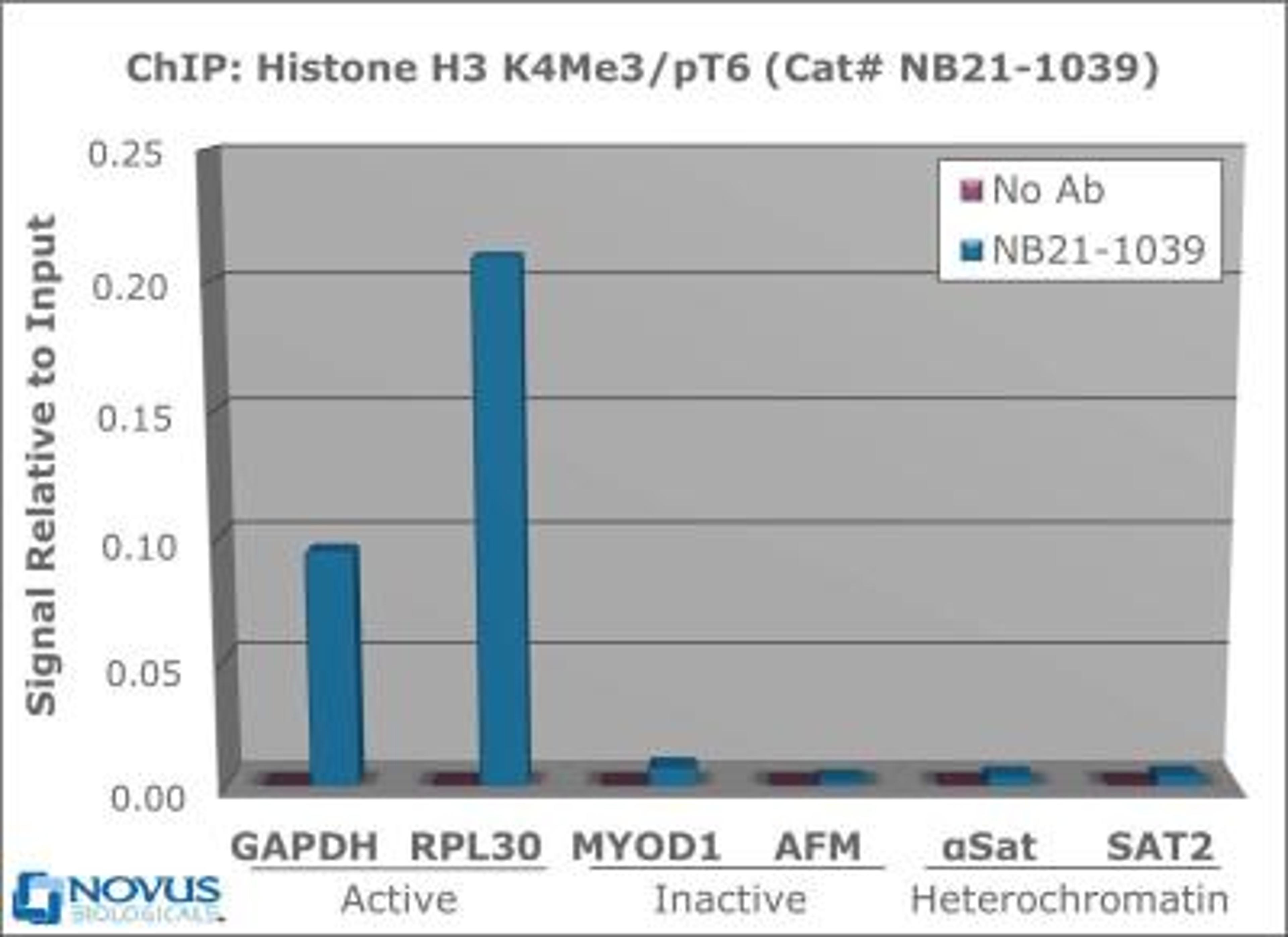 Chromatin Immunoprecipitation: Histone H3 [p Thr6, Trimethyl Lys4] Antibody [NB21-1039] - 2 ug of NB21-1039 was used to IP DNA from fixed Hela cells alongside a no antibody (No Ab) control, DNA was measured by qRT-PCR and normalized to total input (input=1).