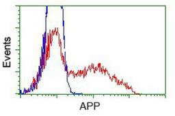 Flow Cytometry: Amyloid Precursor Protein Antibody (7G9) [NBP2-02358] - HEK293T cells transfected with either pCMV6-ENTRY Amyloid Precursor Protein.(Red) or empty vector control plasmid (Blue) were immunostained with anti-Amyloid Precursor Protein mouse monoclonal, and then analyzed by flow cytometry.