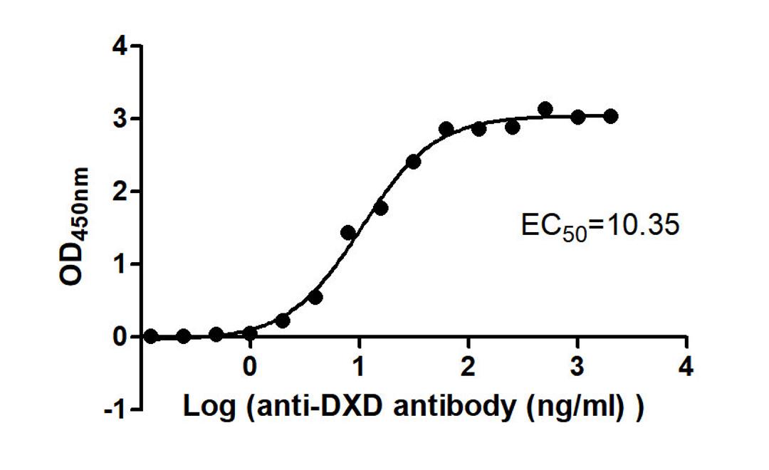 The Binding Activity of ADC-1(DXD) with Anti-DXD-HRP antibody. Activity: Measured by its binding ability in a functional ELISA. Immobilized ADC-1(DXD) at 2 μg/mL can bind Anti-DXD-HRP antibody, the EC<sub>50</sub> is 8.653 to 12.39 ng/mL.
