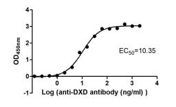 The Binding Activity of ADC-1(DXD) with Anti-DXD-HRP antibody. Activity: Measured by its binding ability in a functional ELISA. Immobilized ADC-1(DXD) at 2 μg/mL can bind Anti-DXD-HRP antibody, the EC<sub>50</sub> is 8.653 to 12.39 ng/mL.