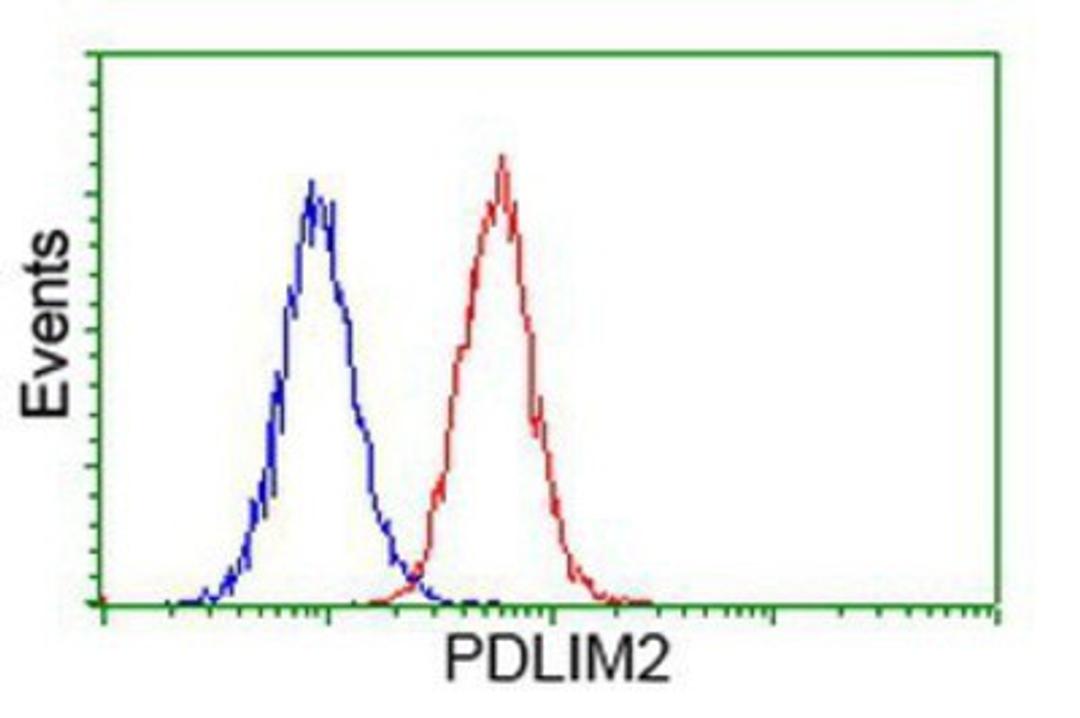 Flow Cytometry: PDLIM2 Antibody (11A12) [NBP2-00619] - Analysis of Hela cells, using anti-PDLIM2 antibody, (Red), compared to a nonspecific negative control antibody (Blue).