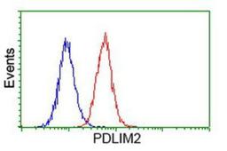 Flow Cytometry: PDLIM2 Antibody (11A12) [NBP2-00619] - Analysis of Hela cells, using anti-PDLIM2 antibody, (Red), compared to a nonspecific negative control antibody (Blue).