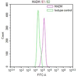 Overlay Peak curve showing Hela cells stained with CSB-RA001273MA1HU (red line) at 1:400. Then 10% normal goat serum was Incubated to block non-specific protein-protein interactions followed by the antibody (1µg/1*10<sup>6</sup>cells) for 45 min at 4°C. The secondary antibody used was FITC-conjugated Goat Anti-Mouse IgG(H+L) at 1/200 dilution for 35 min at 4°C. Isotype control antibody (green line) was mouse IgG1 (1µg/1*10<sup>6</sup>cells) used under the same conditions. Acquisition of >10, 000 events was performed.