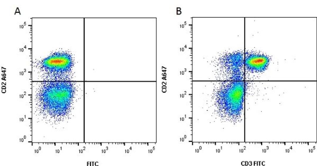 Figure A. Mouse anti Rat CD2. Figure B. Mouse anti Rat CD2 and Mouse anti Rat CD3. 