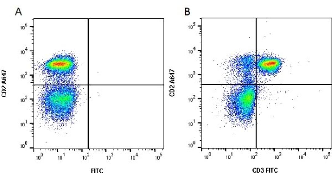 Figure A. Mouse anti Rat CD2. Figure B. Mouse anti Rat CD2 and Mouse anti Rat CD3.