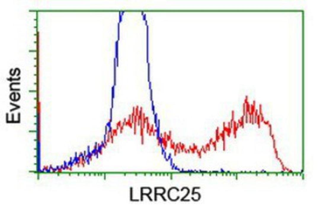 Flow Cytometry: LRRC25 Antibody (1D9) [NBP2-03747] - HEK293T cells transfected with either overexpression plasmid (Red) or empty vector control plasmid (Blue) were immunostained by anti-LRRC25 antibody, and then analyzed by flow cytometry.