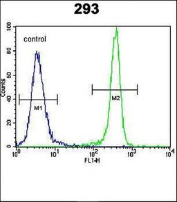 Flow cytometric analysis of IDH1 antibody in  293 cell line lysates