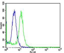 Flow cytometric analysis of Hela cells using Mouse Mapk3 Antibody (green) compared to an isotype control of rabbit IgG(blue). Antibody was diluted at 1:25 dilution. An Alexa Fluor 488 goat anti-rabbit lgG at 1:400 dilution was used as the secondary antibo