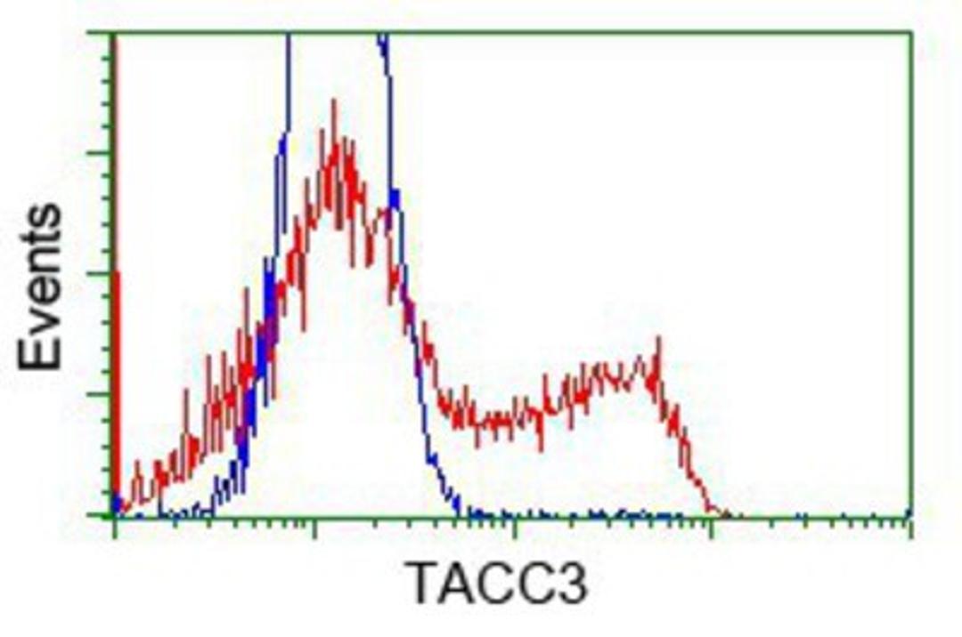 Flow Cytometry: TACC3 Antibody (6F1) [NBP2-02619] - HEK293T cells transfected with either overexpression plasmid (Red) or empty vector control plasmid (Blue) were immunostained by anti-TACC3 antibody, and then analyzed by flow cytometry.