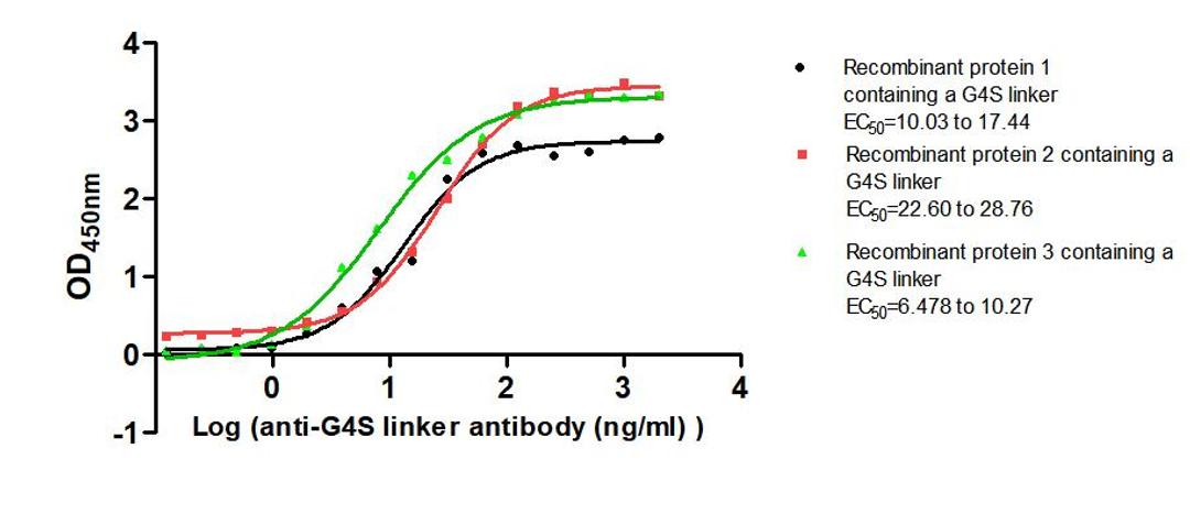 The Binding Activity of G4S linker with Anti-G4S linker antibody. Activity: Measured by its binding ability in a functional ELISA. Immobilized Three recombinant proteins containing G4S linker at 2 μg/mL can bind Anti-G4S linker antibody. The EC<sub>50</sub> is 10.03 to 17.44 ng/mL, 22.60 to 28.76 ng/mL and 6.478 to 10.27 ng/mL.