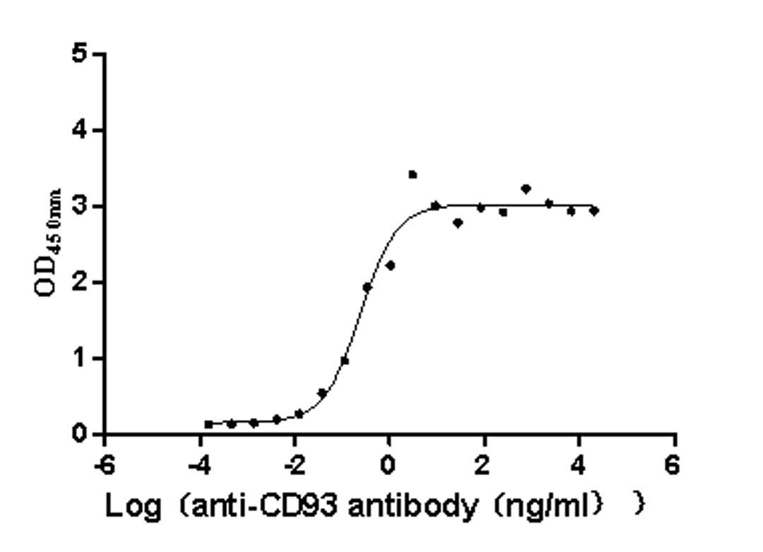 The Binding Activity of Macaca fascicularis CD93 with Anti-CD93 Recombinant Antibody. Activity: Measured by its binding ability in a functional ELISA. Immobilized Macaca fascicularis CD93 (CSB-MP4279MOV) at 2 μg/mL can bind Anti-CD93 recombinant antibody. The EC<sub>50</sub> is 0.1669-0.3513 ng/mL.