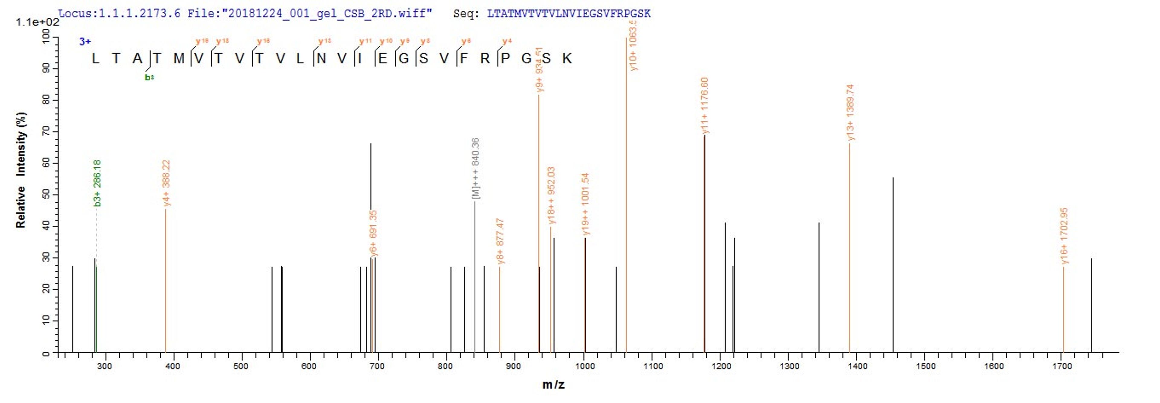 Based on the SEQUEST from database of E.coli host and target protein, the LC-MS/MS Analysis result of CSB-EP723414MO could indicate that this peptide derived from E.coli-expressed Mus musculus (Mouse) Dsg1a.